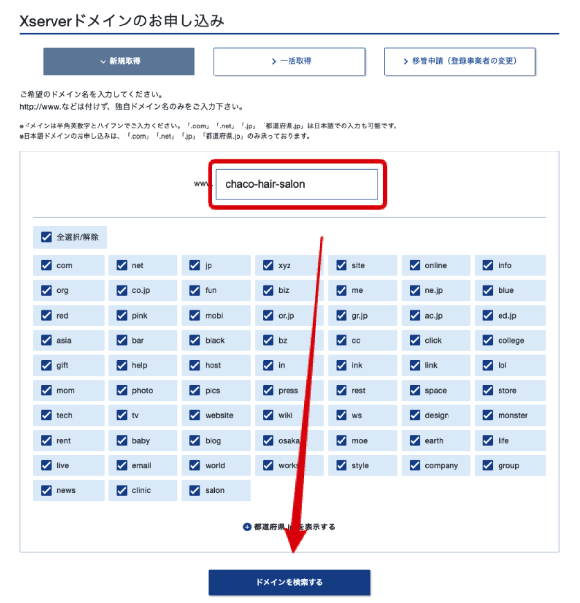エックスサーバーでドメイン取得を進める画面